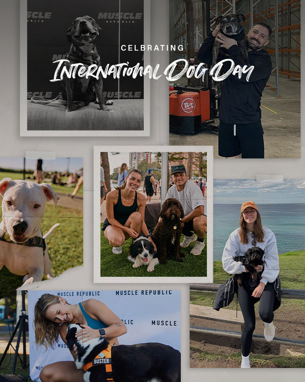 <center>International Dog Day<center>