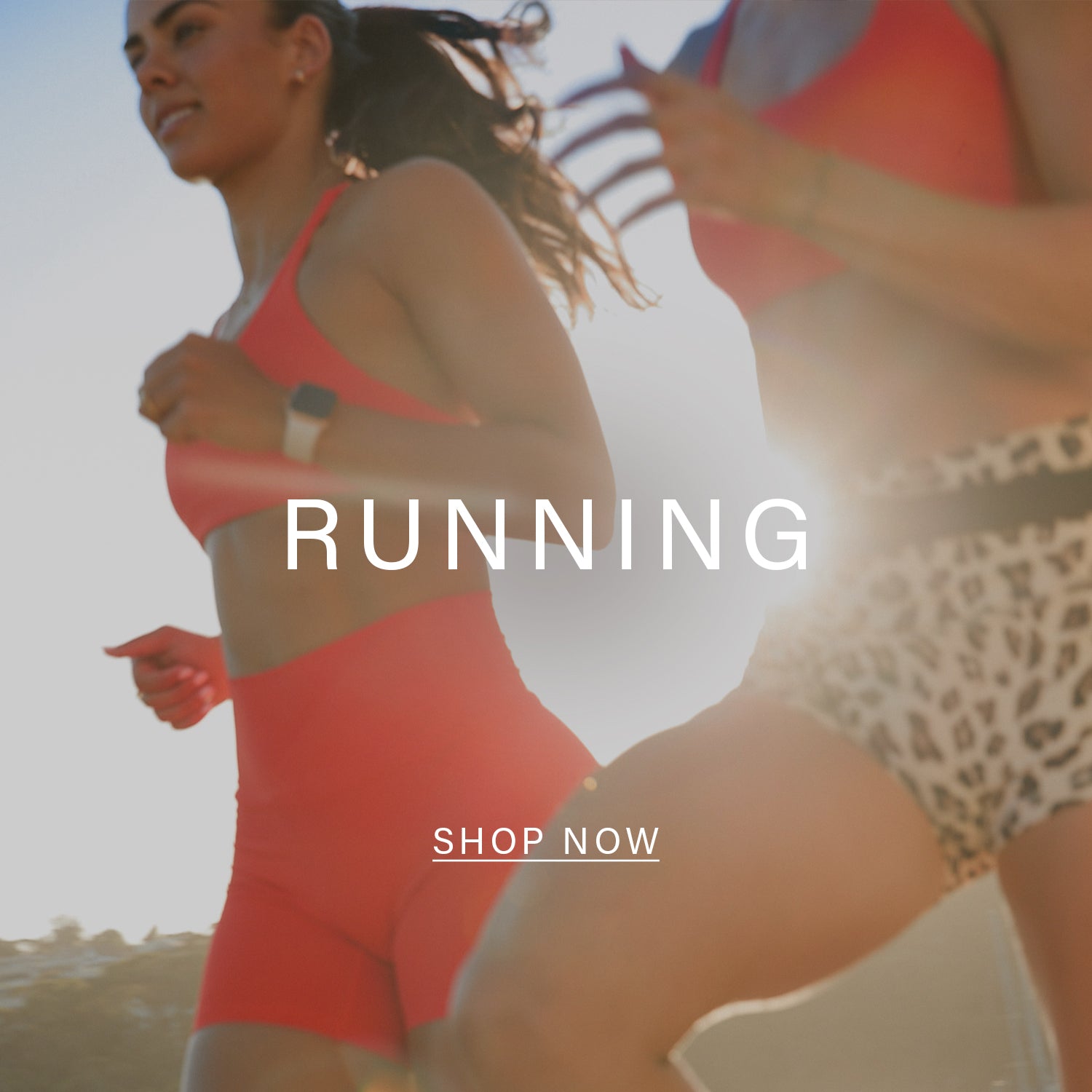 【新品未使用】MUSCLE REPUBLIC BERRY Sサイズ Luxe Berry – MUSCLE REPUBLIC