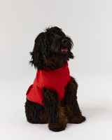 DOG HOODIE - FIERY RED