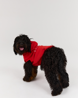 DOG HOODIE - FIERY RED