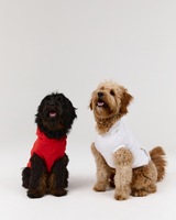 DOG HOODIE - FIERY RED