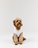 DOG HOODIE - SNOW GREY