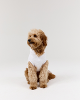 DOG HOODIE - SNOW GREY