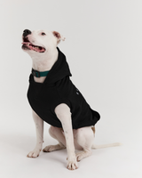 DOG HOODIE - BLACK