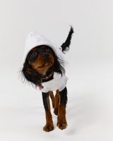 DOG HOODIE - SNOW GREY