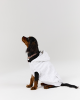 DOG HOODIE - SNOW GREY