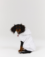 DOG HOODIE - SNOW GREY