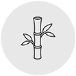 Bamboo