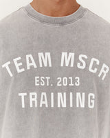 TIMELESS TEAM TRAINING TEE - FADED GREY