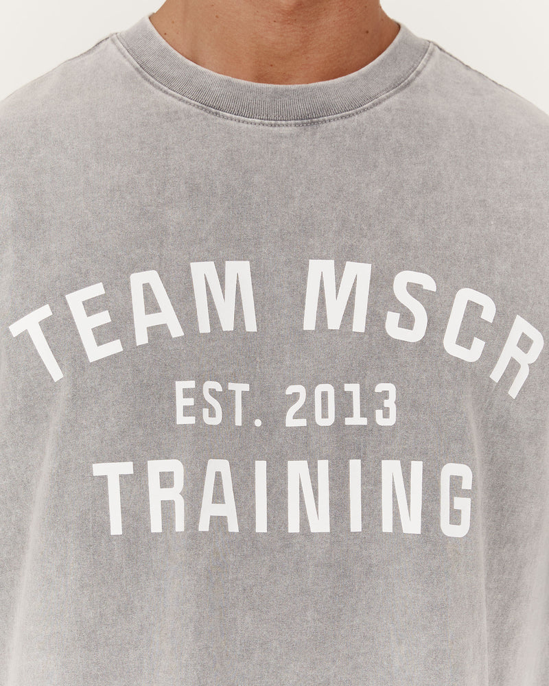 TIMELESS TEAM TRAINING TEE - FADED GREY